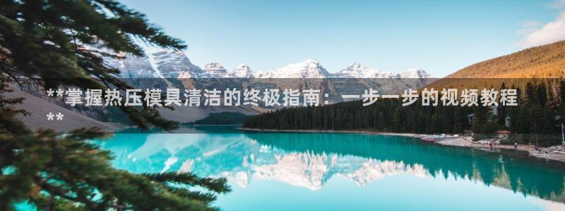 易倍纤怎么使用：**掌握热压模具清洁的终极指南：一步一步