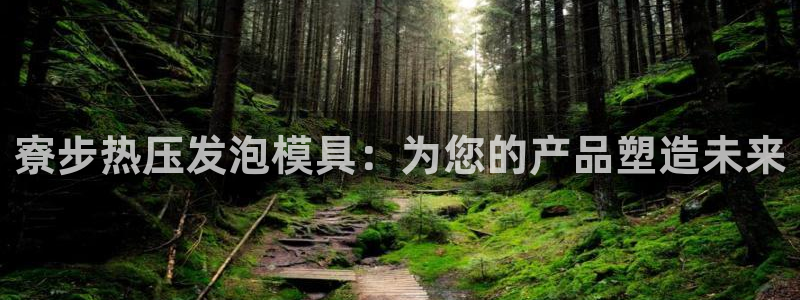 易倍app官网下载：寮步热压发泡模具：为您的产品塑造未来