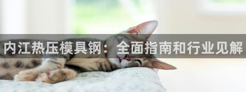 易倍申片
