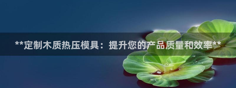 易倍下载手机版：**定制木质热压模具：提升您的产品质量和