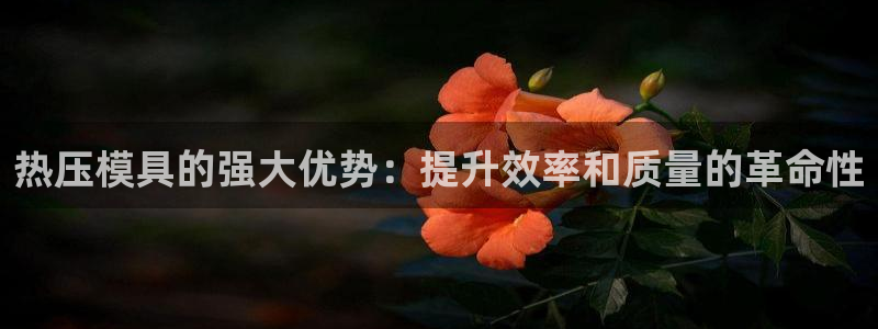 易倍申的包装规格：热压模具的强大优势：提升效率和质量的革