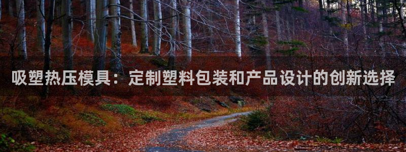 易倍EMC网址：吸塑热压模具：定制塑料包装和产品设计的创
