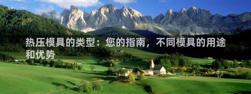 易倍网络技术有限公司招聘：热压模具的类型：您的指南，不同