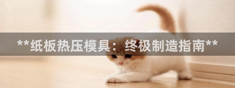 易倍纤代餐奶昔怎么样