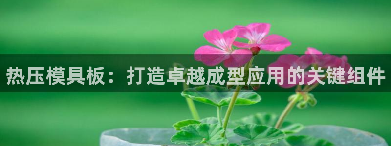 EMC易倍官网招聘：热压模具板：打造卓越成型应用的关键组